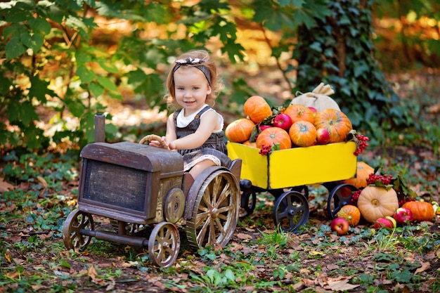 Happy girl in a tractor autumn harvest. cart with pumpkins, viburnum, rowan, apples