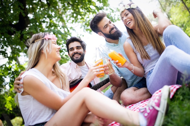 Happy group of friends in the park having picnic on a sunny day.