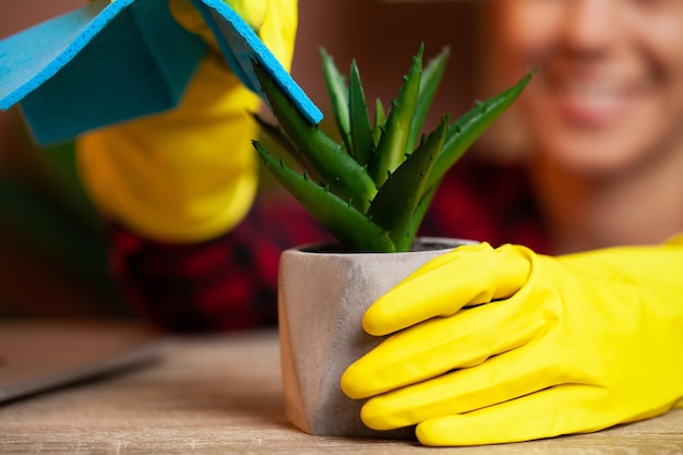 Happy house wife with spray taking care of plants at her home