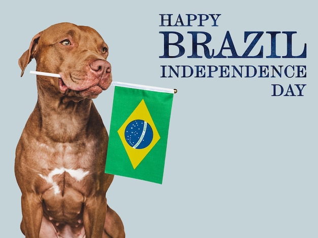 Happy Independence Day Lovable dog and Brazilian Flag