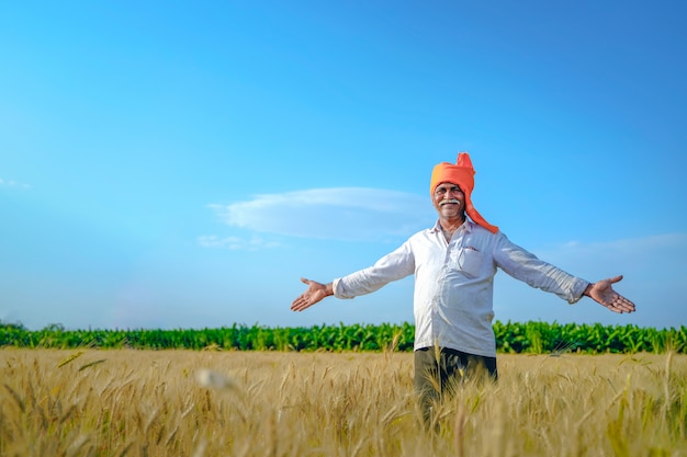 Happy indian farmer walking and spreading his arms in his wheat field.