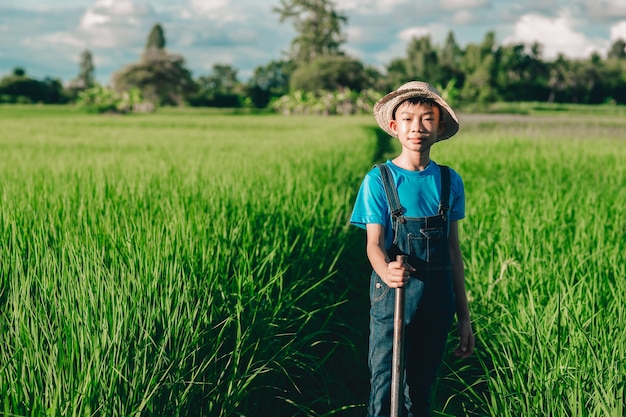 Happy kids smile and playing on organic rice fied