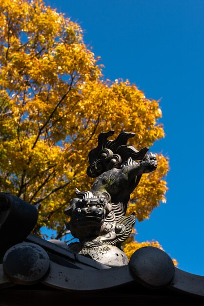 Happy lion dog statue upside down feet up on the Japanese temple roof yellow autumn leaves