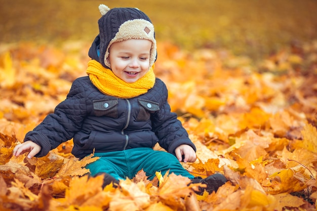 Happy little boy in the autumn park