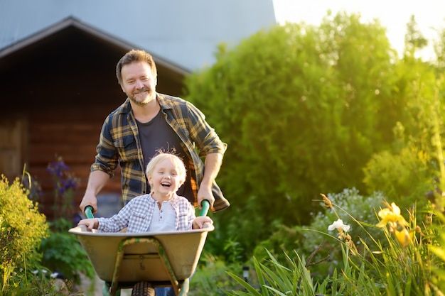 Happy little boy having fun in a wheelbarrow pushing by dad in domestic garden on warm sunny day.