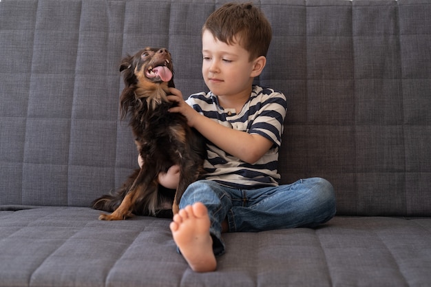 Happy little boy pet funny brown russian toy terrier