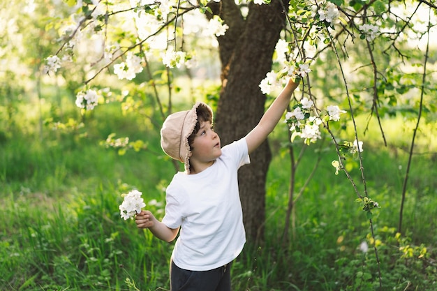 Happy little boy walking in spring garden Child playing with branch of an apple treeand having fun Kid exploring nature Baby having fun Spring activity for inquisitive children