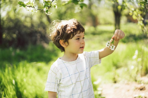 Happy little boy walking in spring garden Child playing with branch of an cherry tree and having fun Kid exploring nature Baby having fun Spring activity for inquisitive children