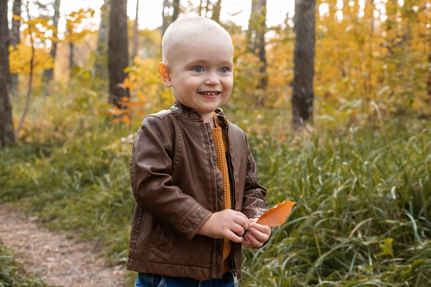 Happy little child boy smiling, holding autumn leaves, having fun in the fall forest