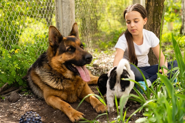 Happy little girl playing with two dogs in garden. girl on a Sunny summer day with two dogs on a lawn.