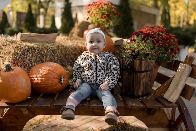 Happy little girl with pumpkins in the autumn park laughs