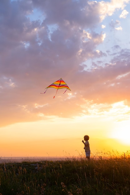 Happy little kid boy having fun with kite in nature at sunset