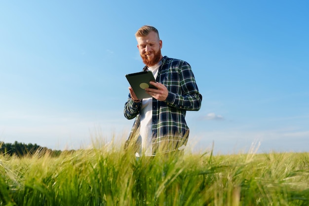 A happy male farmer with a tablet records the results of an inspection of a field with wheat