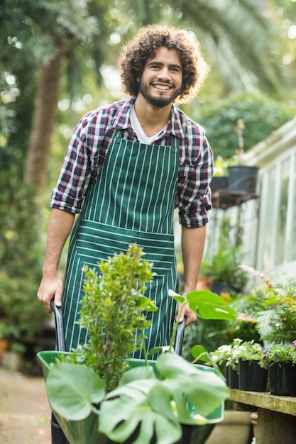 Happy male gardener carrying plants in wheelbarrow