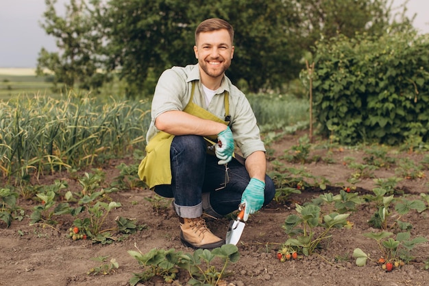 Happy male gardener working on strawberry garden