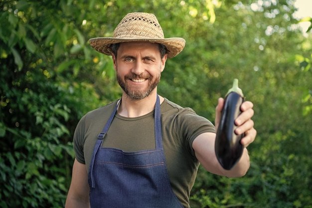 happy man greengrocer in straw hat with eggplant vegetable