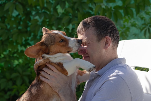 A happy man is holding a purebred dog in his arms Welsh Corgi Pembroke Pets