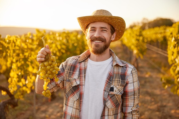 Happy man with grape cluster in vineyard