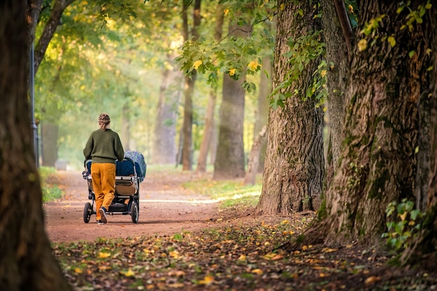 Happy mom walking in autumn park with twins stroller