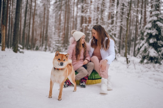 Happy mother and little cute girl in pink warm outwear walking having fun rides inflatable snow tube with red shiba inu dog in snowy white cold winter forest outdoors