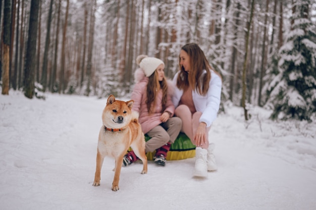 Happy mother and little cute girl in pink warm outwear walking having fun rides inflatable snow tube