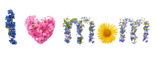 Happy Mother's Day Spring flowers Pink flowers on a white background Flat lay top view copy space