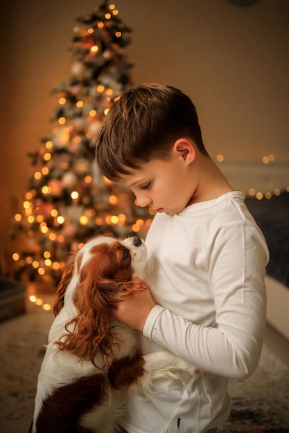 Happy New Year a boy in light homemade pajamas hugs his pet cavalier king charles spaniel at home in the bedroom near the Christmas tree