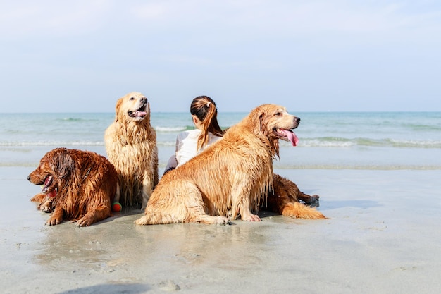 Happy pets The woman and golden retriever family rest on tropical beach