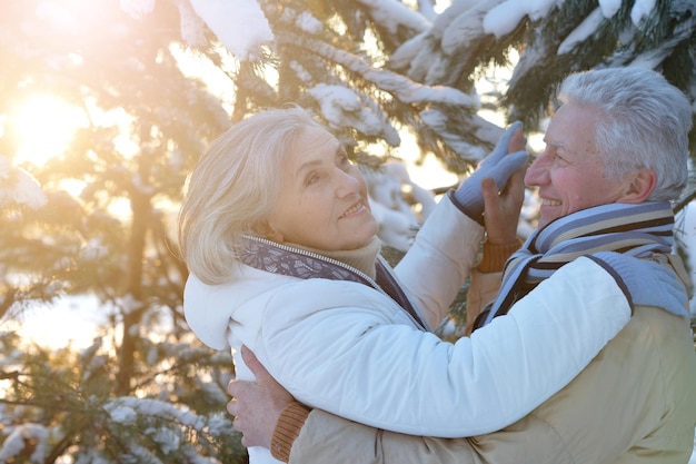 Happy senior couple dancing at snowy winter park