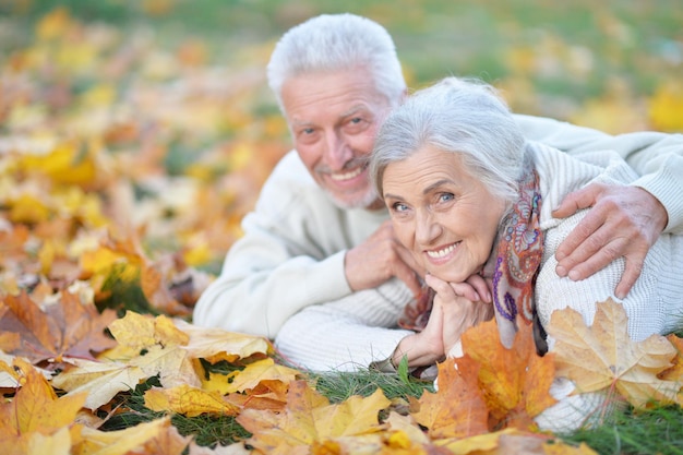 Happy senior couple lying in park