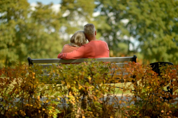 Happy Senior couple sitting in park back view