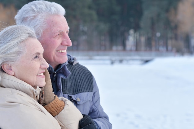 Happy senior couple at winter outdoors