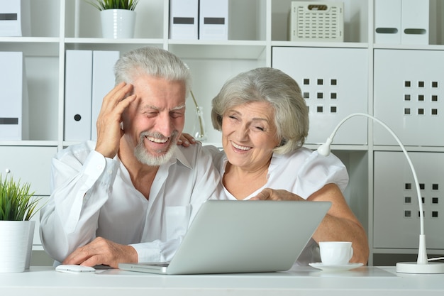 Happy senior couple with laptop  in office