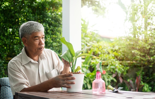 A happy and smiling Asian old elderly man is planting for a hobby after retirement in a home Concept of a happy lifestyle and good health for seniors