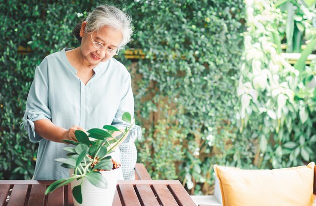 A happy and smiling Asian old elderly woman is planting for a hobby after retirement in a home Concept of a happy lifestyle and good health for seniors