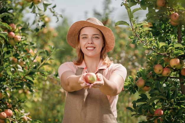 Happy smiling female farmer worker crop picking fresh ripe apples with Emblem of Ukraine in orchard garden during autumn harvest Harvesting time