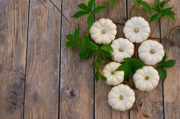 Happy Thanksgiving concept Autumn composition with white pumpkins on wooden table Flat lay top view copy space