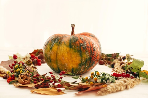 Happy Thanksgiving Pumpkin in autumn wreath of fall leaves red berries acorns anise nuts autumn flowers on white wood Cozy autumn mood Seasons greeting card