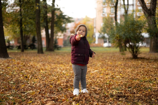 Happy toddler child plays with yellow leaves on sunny autumn day.