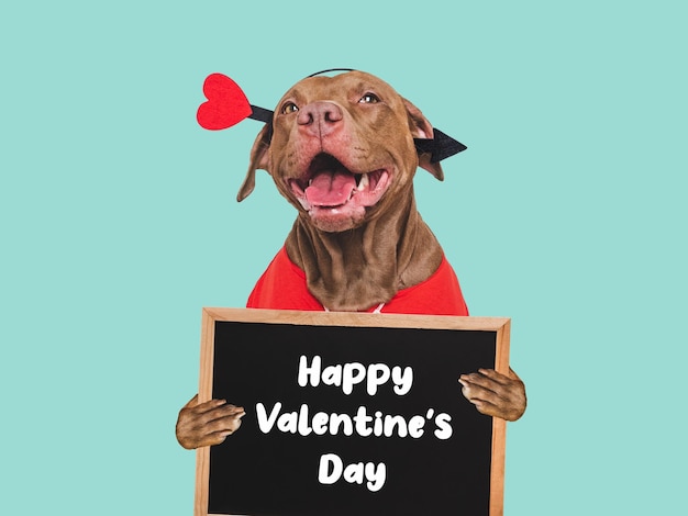 Happy Valentines Day Lovable dog and congratulatory inscription