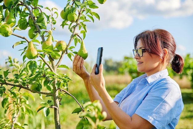 Happy woman takes photo of harvest of pears ripening on tree in garden