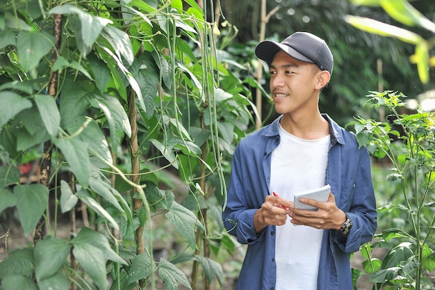 Happy of young Asian farmer male looking at the long beans, on the garden.