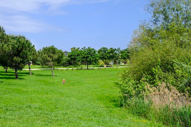 Happy Young Boy Running Across a Grass Lawn.