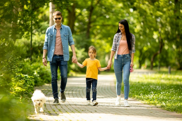 Happy young family with cute bichon dog in the park