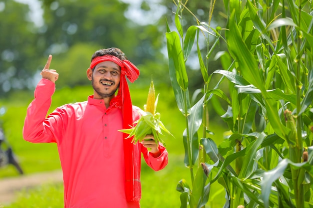 Happy young Indian farmer showing corn fruit at field