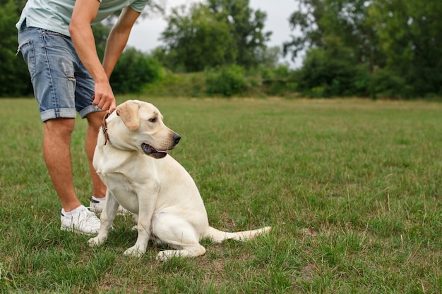 Happy young man walking with dog Labrador outdoors