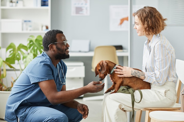 Happy young pet owner consulting with AfricanAmerican male veterinarian