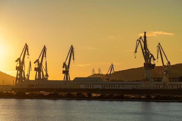 Harbour cranes in the port at sunset