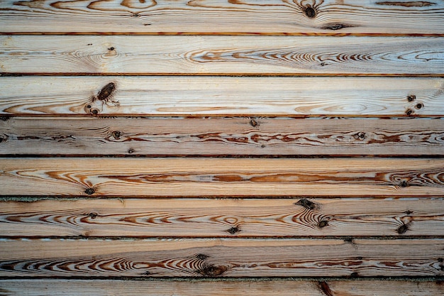 Hardwood maple basketball court floor viewed from above wood table