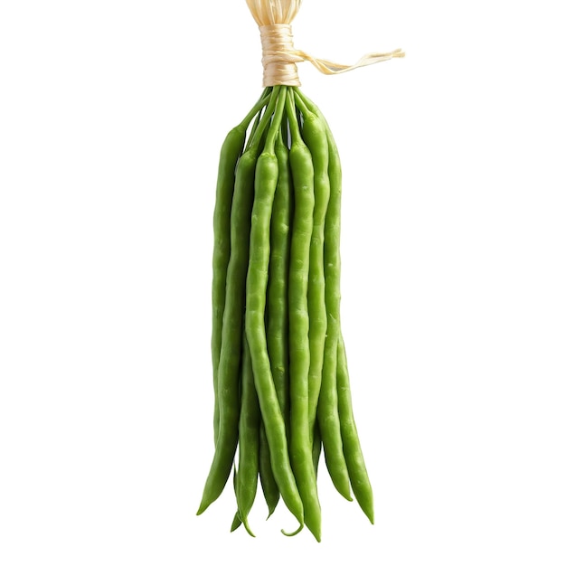 Photo haricots verts french thin delicate green bundled tied with chives hanging butter melting food